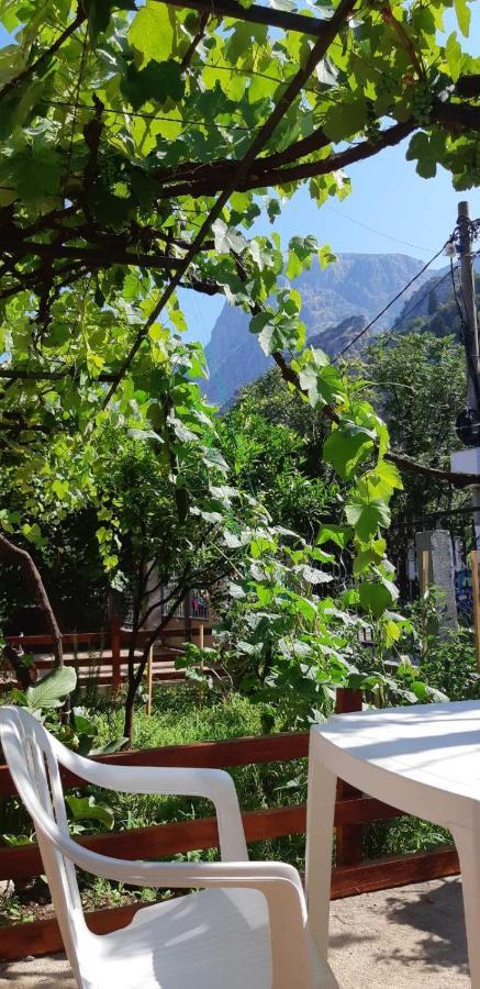 Apartments Skaljari Kotor Kültér fotó