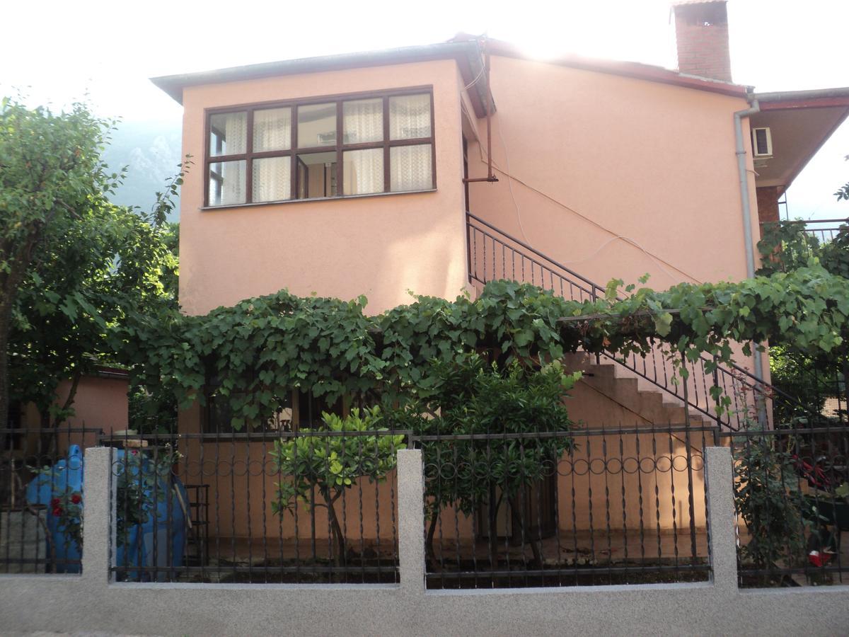 Apartments Skaljari Kotor Kültér fotó